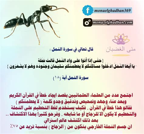 فوائد سورة النمل